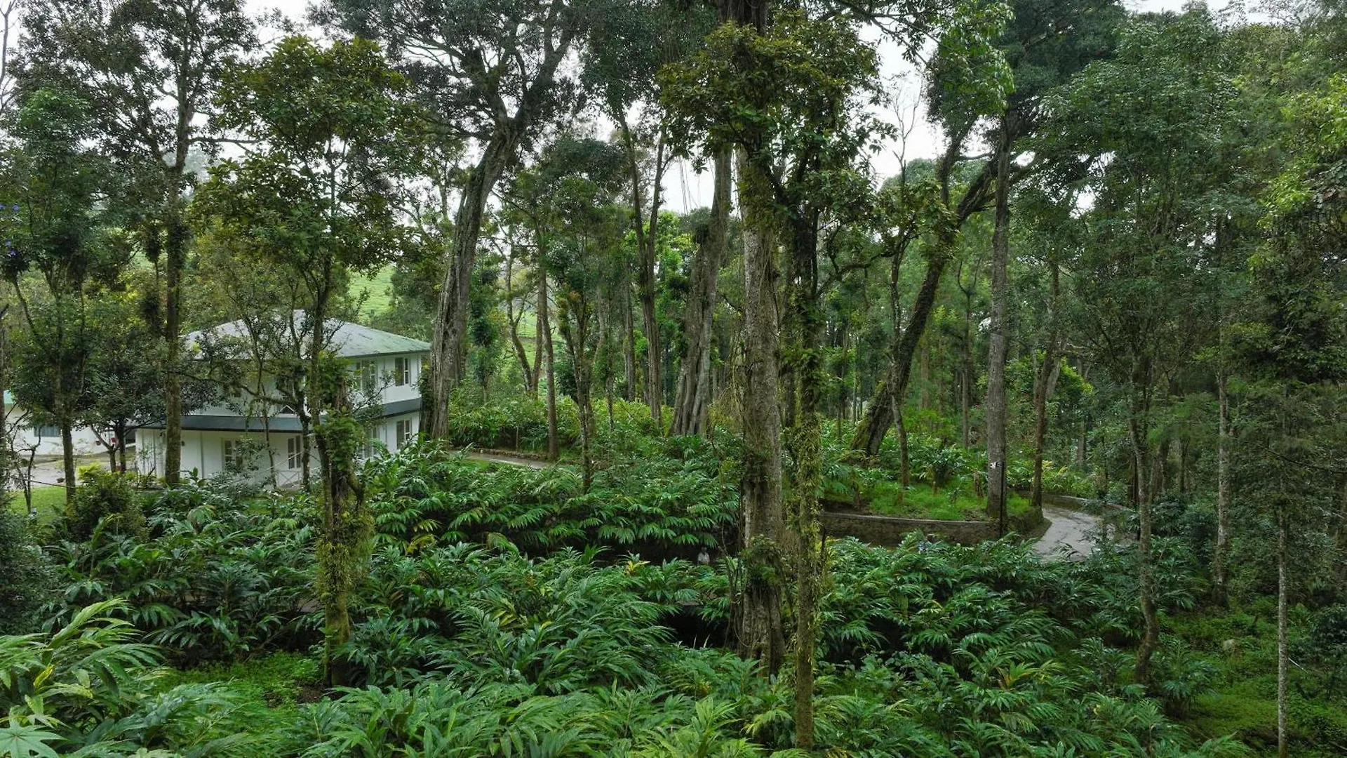 Hotel Makayiram Retreat Munnar 0*,  Indie