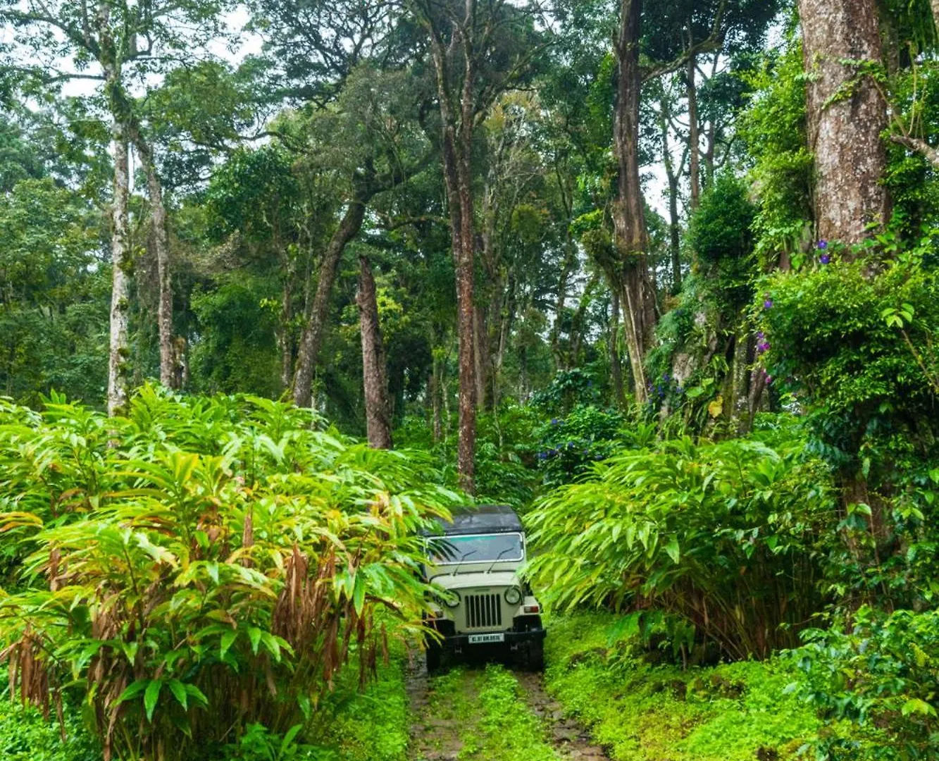 Hotel Makayiram Retreat Munnar Rezort